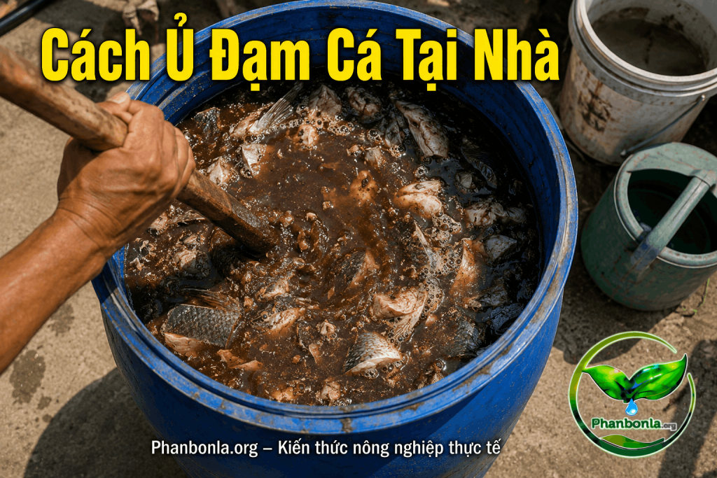 Cách ủ đạm cá tại nhà