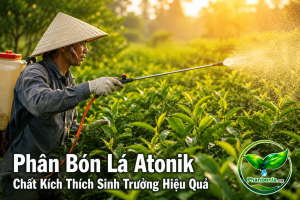 Phân bón lá atonik