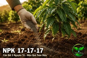 Npk 17-17-17 cân đối 3 nguyên tố