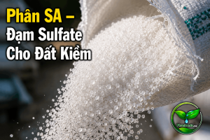 Phân Sa - Đạm Sulfate cho đất kiềm