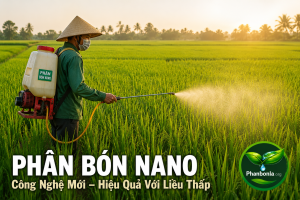 Phân bón Nano